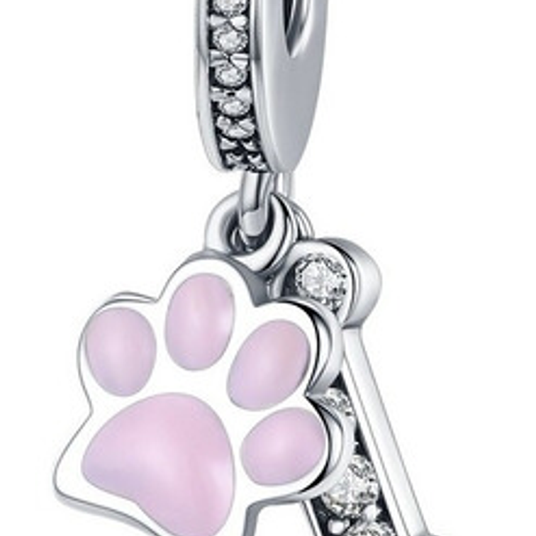 Charm Hueso Y Patita Plata 925 1