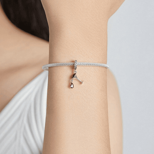 Charm Copa de Vino Plata 925 4