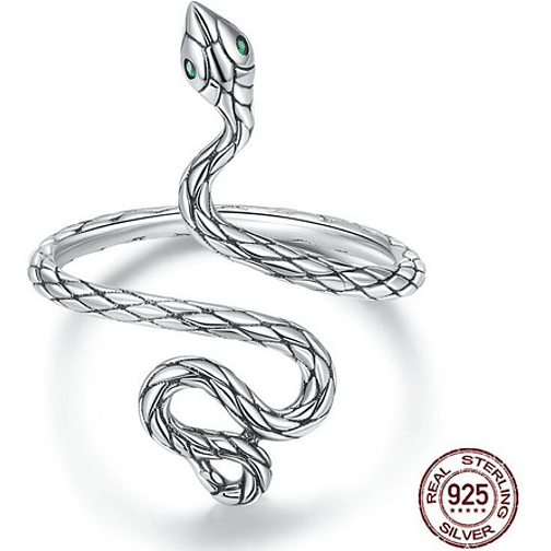 Anillo Serpiente Larga Plata 925 1