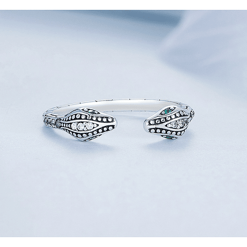 Anillo Serpiente Doble Plata 925 2