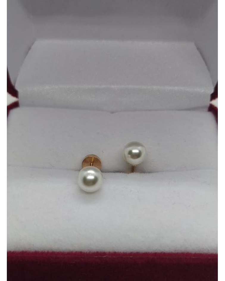 Aros perla 5 mm Oro 14k