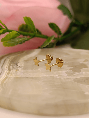 Aros estrella 4 mm 1 gr Oro 18k