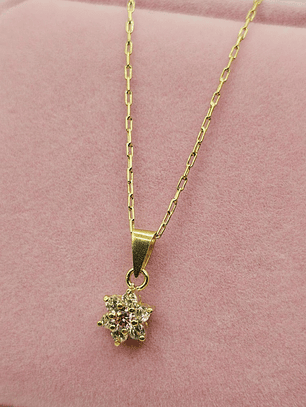 Cadena limada 50 cm y colgante roseta rosa de Francia 3 grs Oro 18k