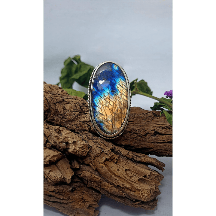 Anillo Labradorita XXL 1