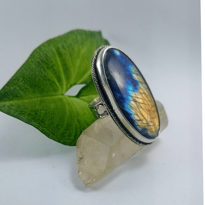 Anillo Labradorita XXL 2