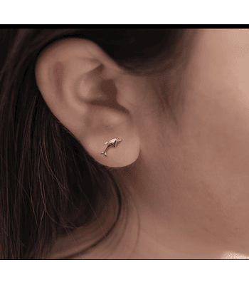 Aro abridor delfín 🐬 14k