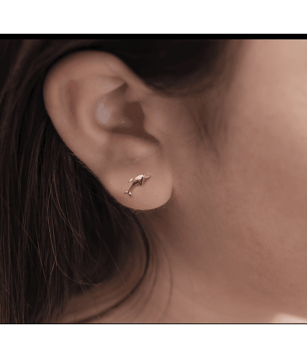 Aro abridor delfín 🐬 14k