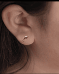 Aro abridor delfín 🐬 14k