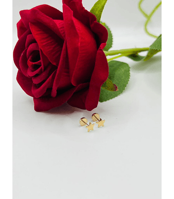 Aros abridor forma estrella Talla 2   18k