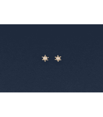 Aros pistilos con perla Talla 2