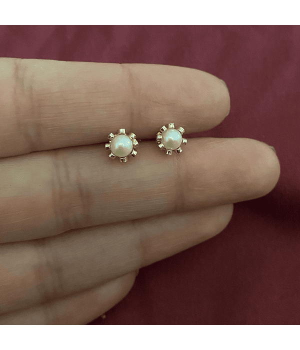 Aros de Perla con cuello especial ✨