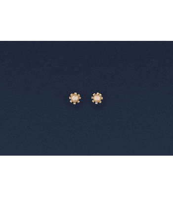 Aros de Perla con cuello especial ✨