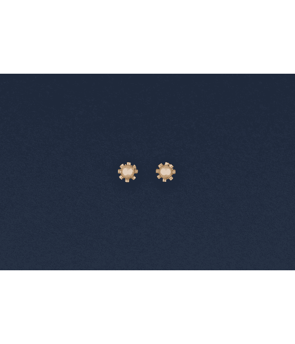 Aros de Perla con cuello especial ✨