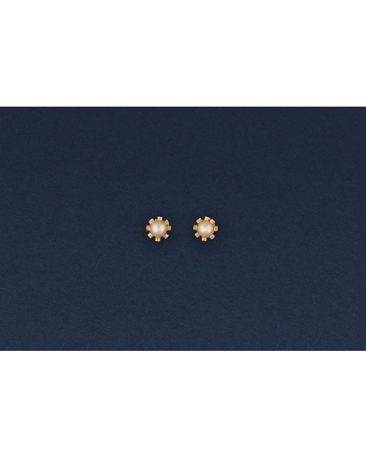 Aros de Perla con cuello especial ✨