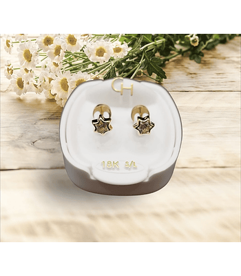 Estrella circón ✨ Talla 2    18k