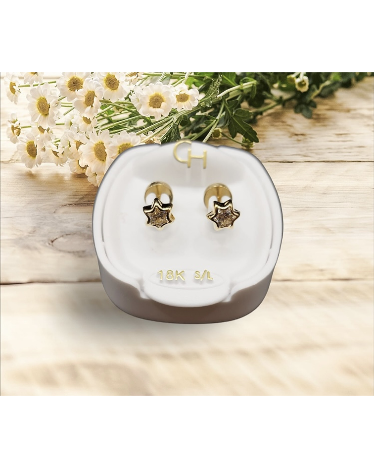 Estrella circón ✨ Talla 2    18k