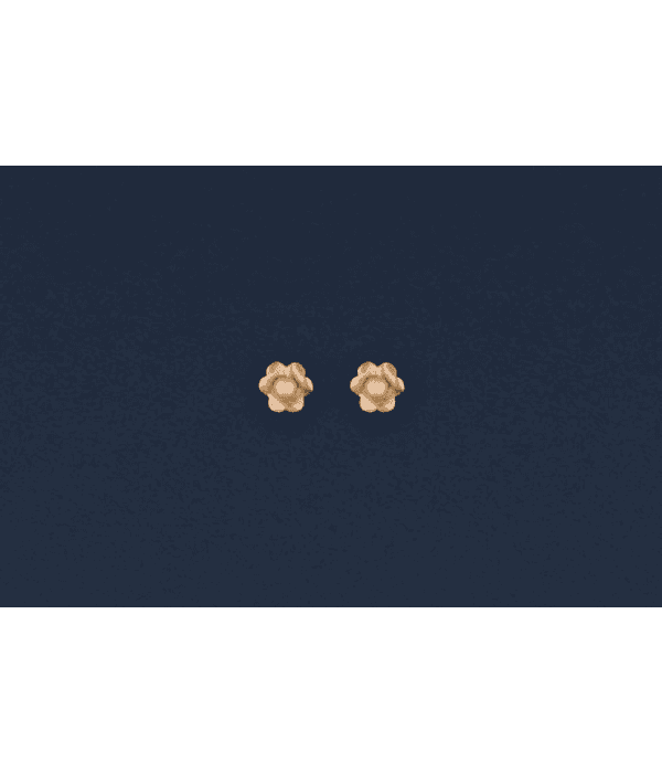 Aros Flor con Perla 🌺