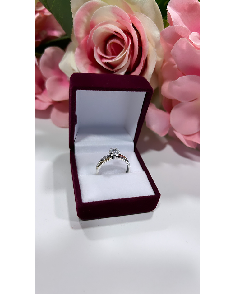 Solitario camino en circón 