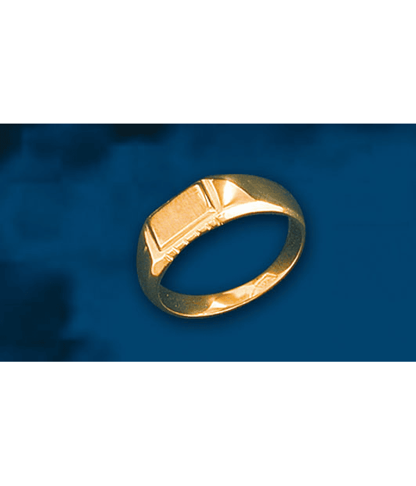 ANILLO SELLO RECTANG BORDE SIERRA cod 1020