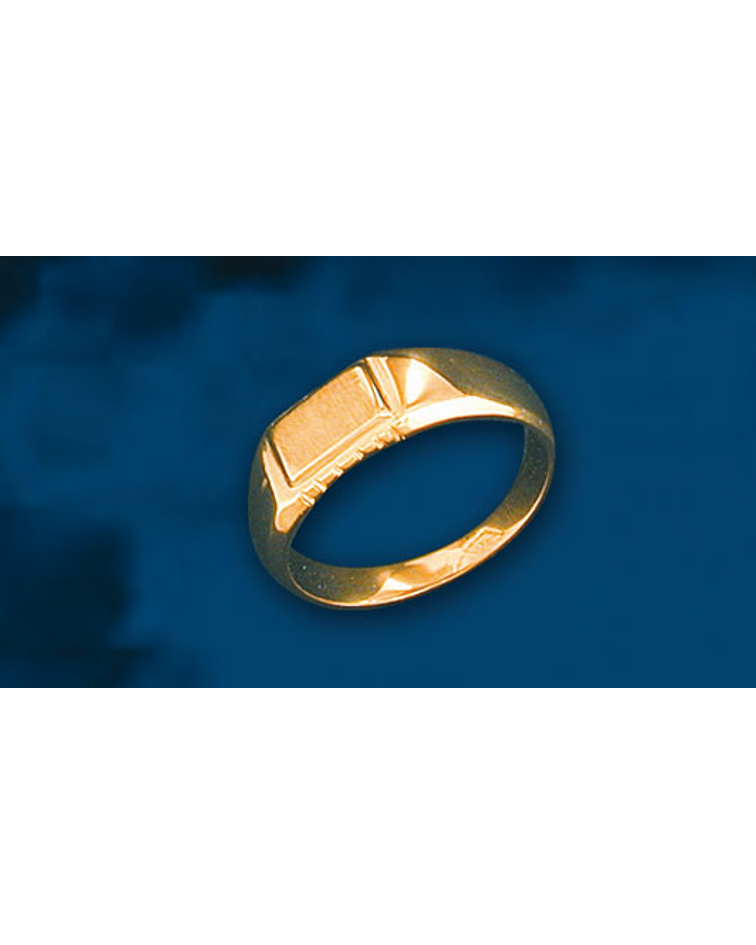 ANILLO SELLO RECTANG BORDE SIERRA cod 1020