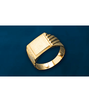 ANILLO SELLO cod 1055