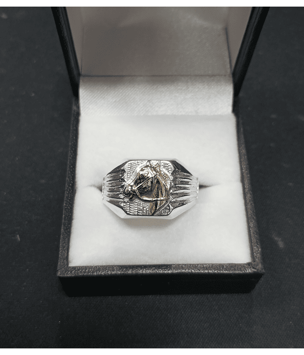 Anillo sello caballo 🐴 