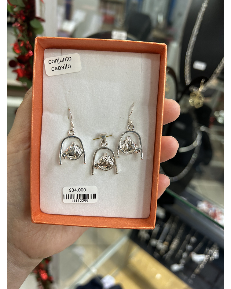 Conjunto Caballo 
