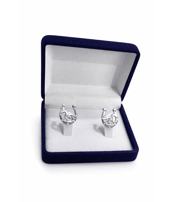 Aros herradura de la suerte 