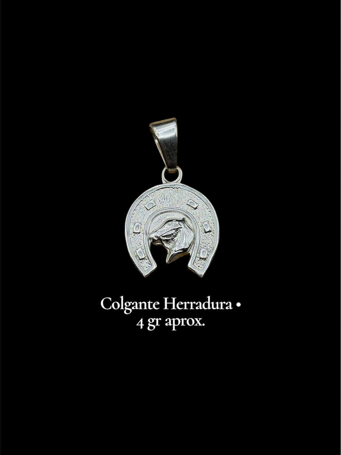 Colgante de Herradura 1
