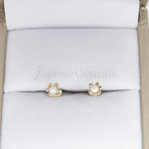 Aros Oro 18K Cuello Payaso n1