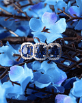 Anillo Tricillo Zafiros Azules Ceylán rodeado de Diamantes Oro Blanco 18kl 