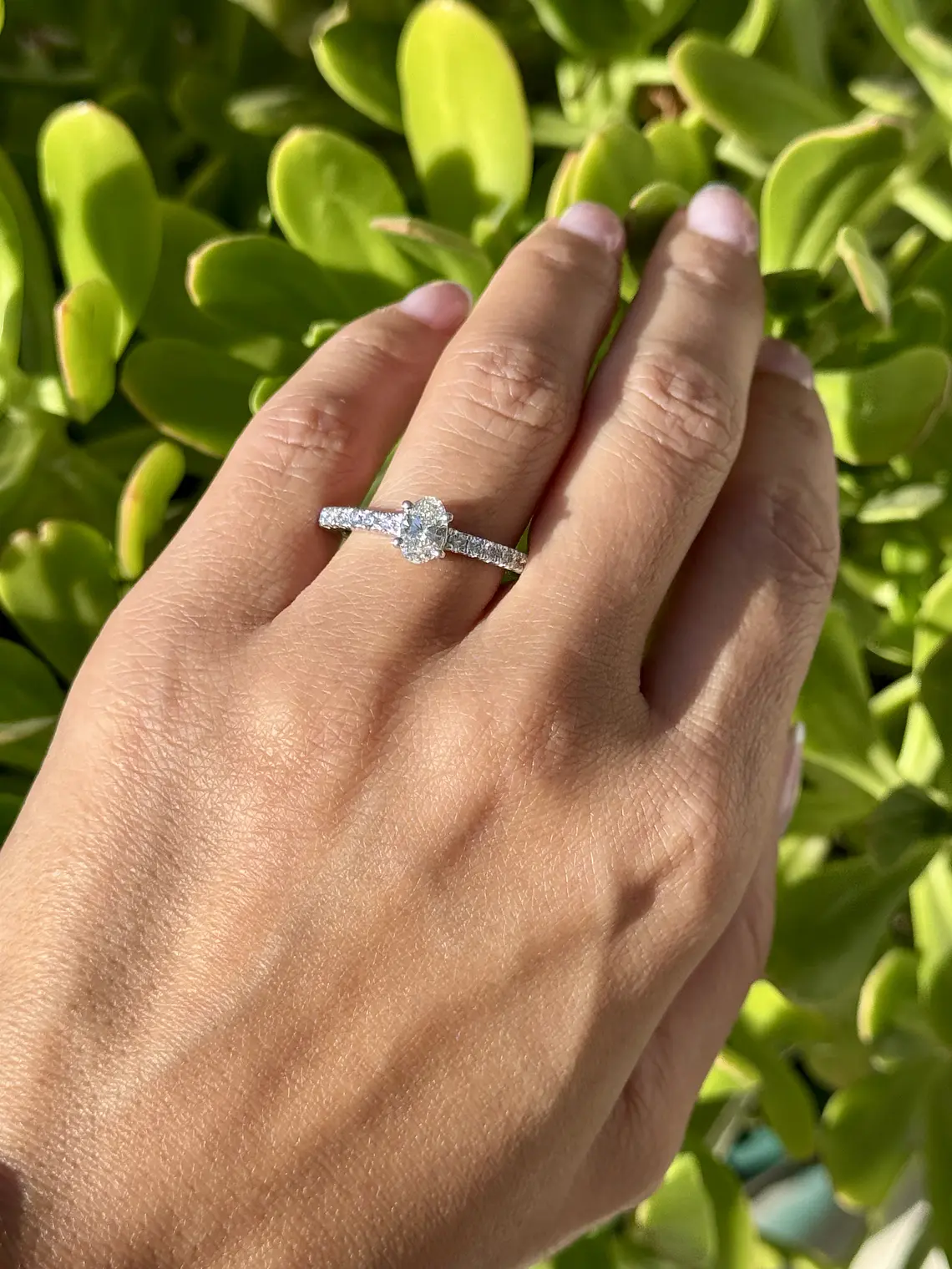 Anillo Solitario Diamante Ovalado Certificado GIA Platino 5