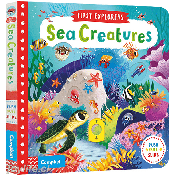 First Explorers Sea Creatures 
