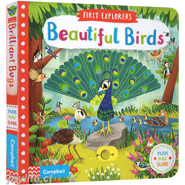 First Explorers Beautiful Birds 