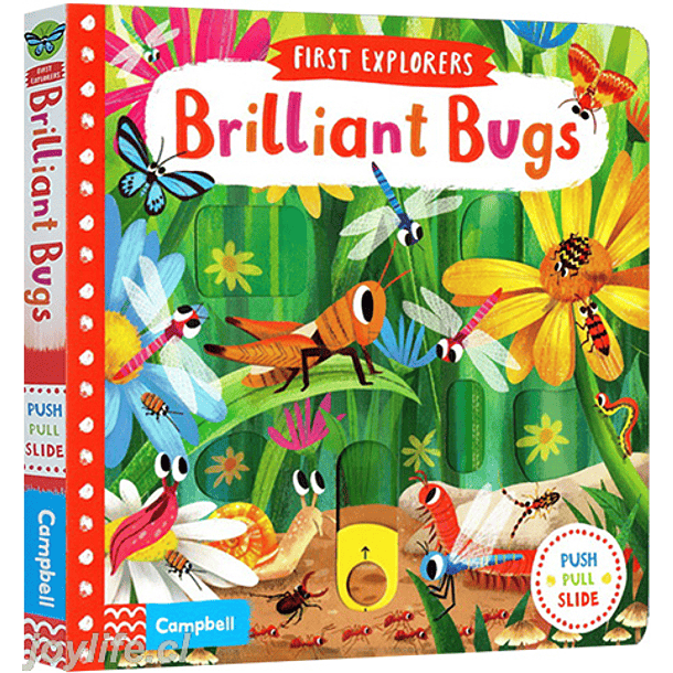 First Explorers Brilliant Bugs 