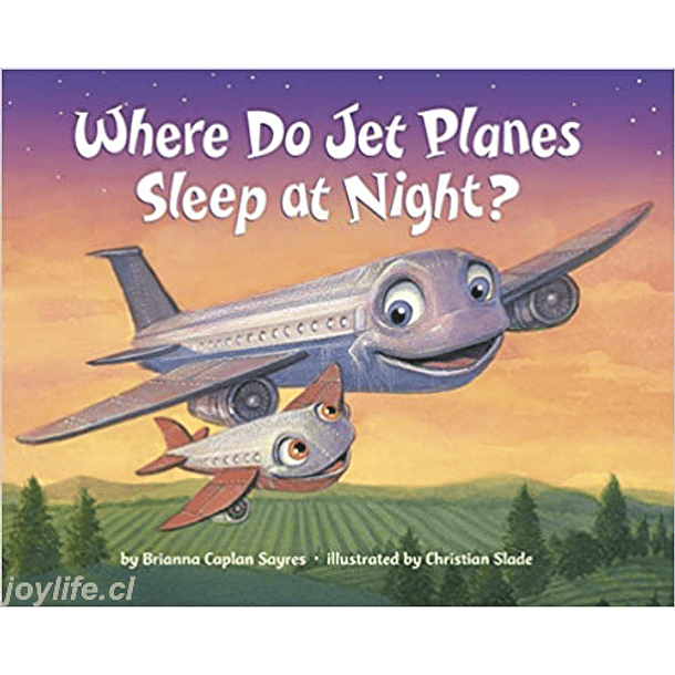 Where Do Jet Planes Sleep at Night? 