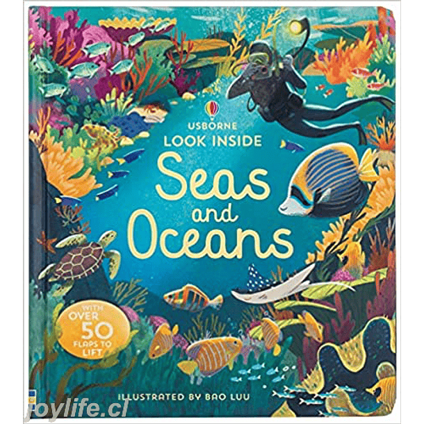 Usborne Look Inside Seas and Oceans 