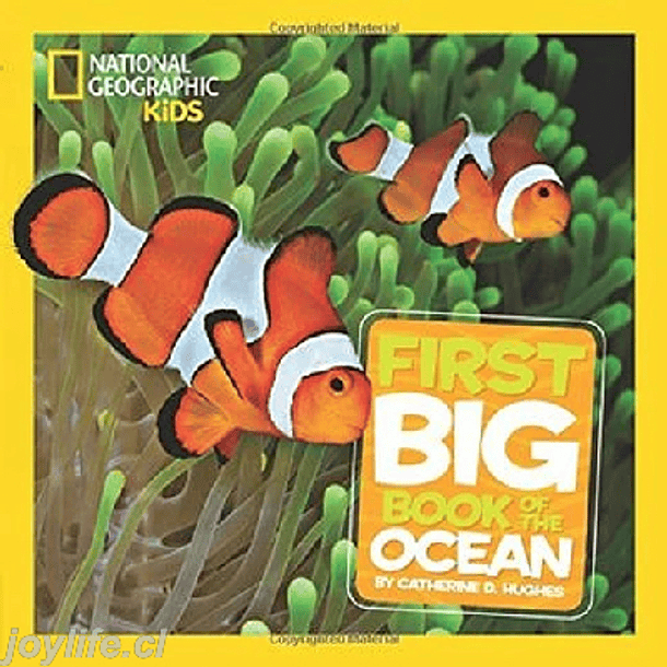 National Geographic Little Kids First Big Book Of The Ocean 
