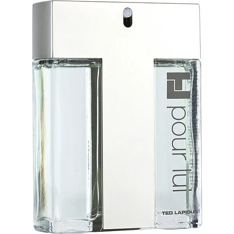 Tester Ted Pour Lui de Lapidus Edt 100 ml 1