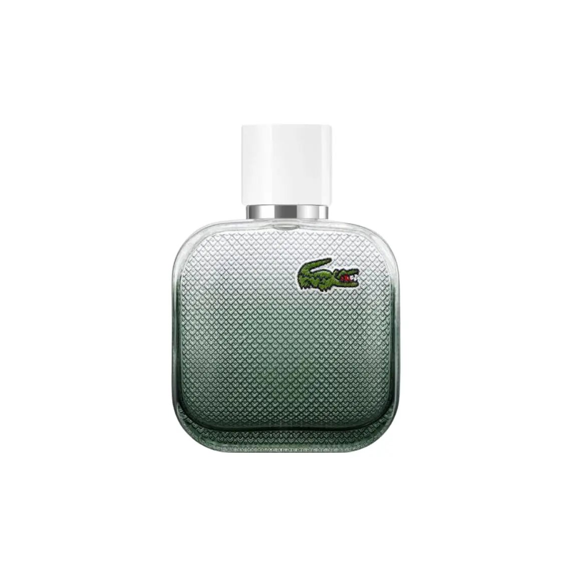 L.12.12. Blanc Eau Intense de Lacoste Edt 100ml Hombre  2