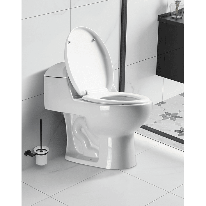 WC One Piece Joytek 2006 Descarga a Piso 30 cm 2