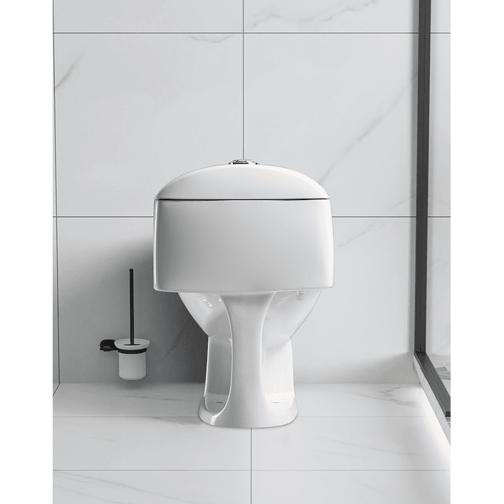 WC One Piece Joytek 2006 Descarga a Piso 30 cm 8