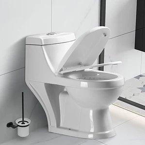 WC One Piece Joytek 2003 Descarga a Piso 30 cm