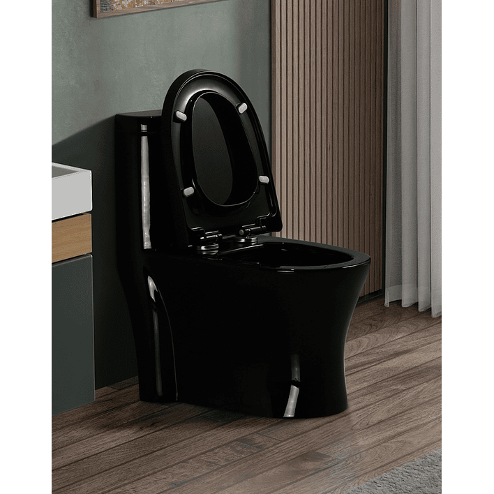 WC One Piece Joytek 2002 Negro Descarga a Piso 30 cm 4