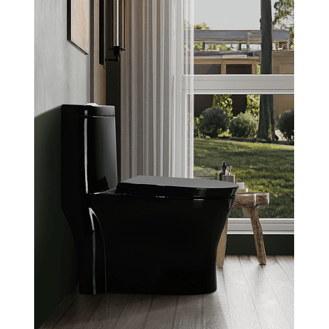 WC One Piece Joytek 2002 Negro Descarga a Piso 30 cm 6