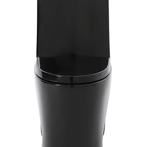 WC One Piece Joytek 2007 Negro Descarga a Piso 30 cm