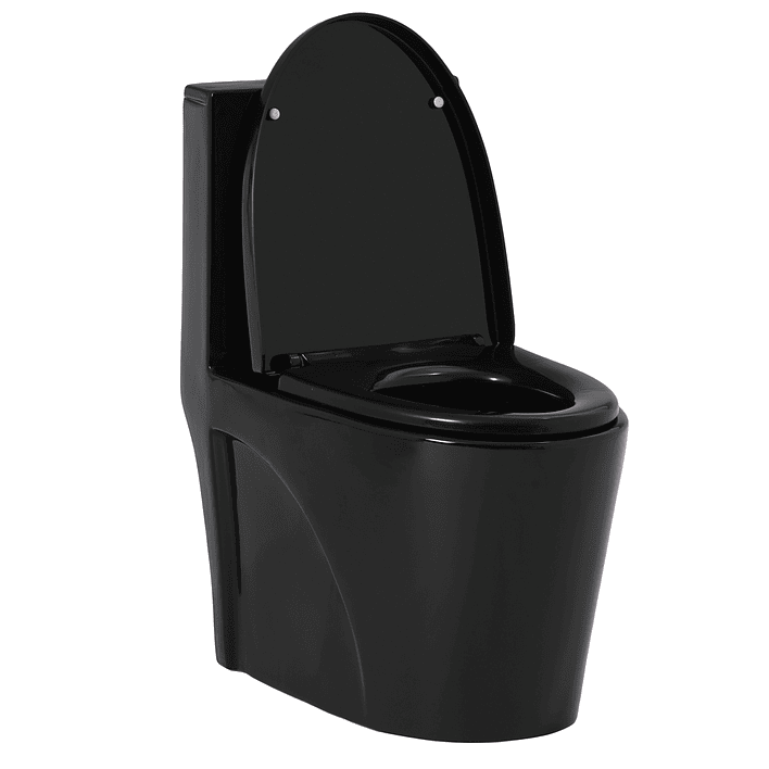 WC One Piece Joytek 2007 Negro Descarga a Piso 30 cm 4