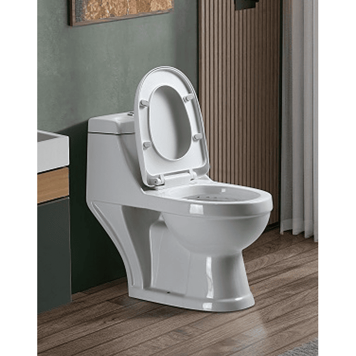 WC One Piece Joytek 2003 - Descarga a muro 3