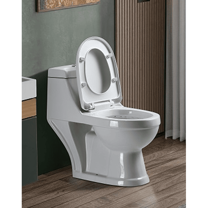 WC One Piece Joytek 2003 - Descarga a muro 2