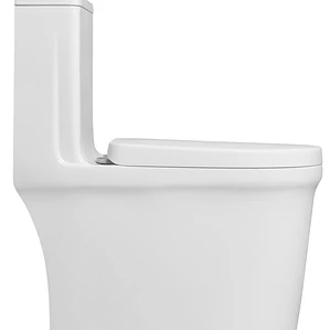 WC One Piece Premier 2051 Joytek Descarga a Piso 30 cm Blanco